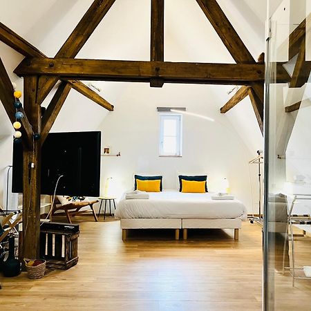 شقة Le Loft كولمار المظهر الخارجي الصورة
