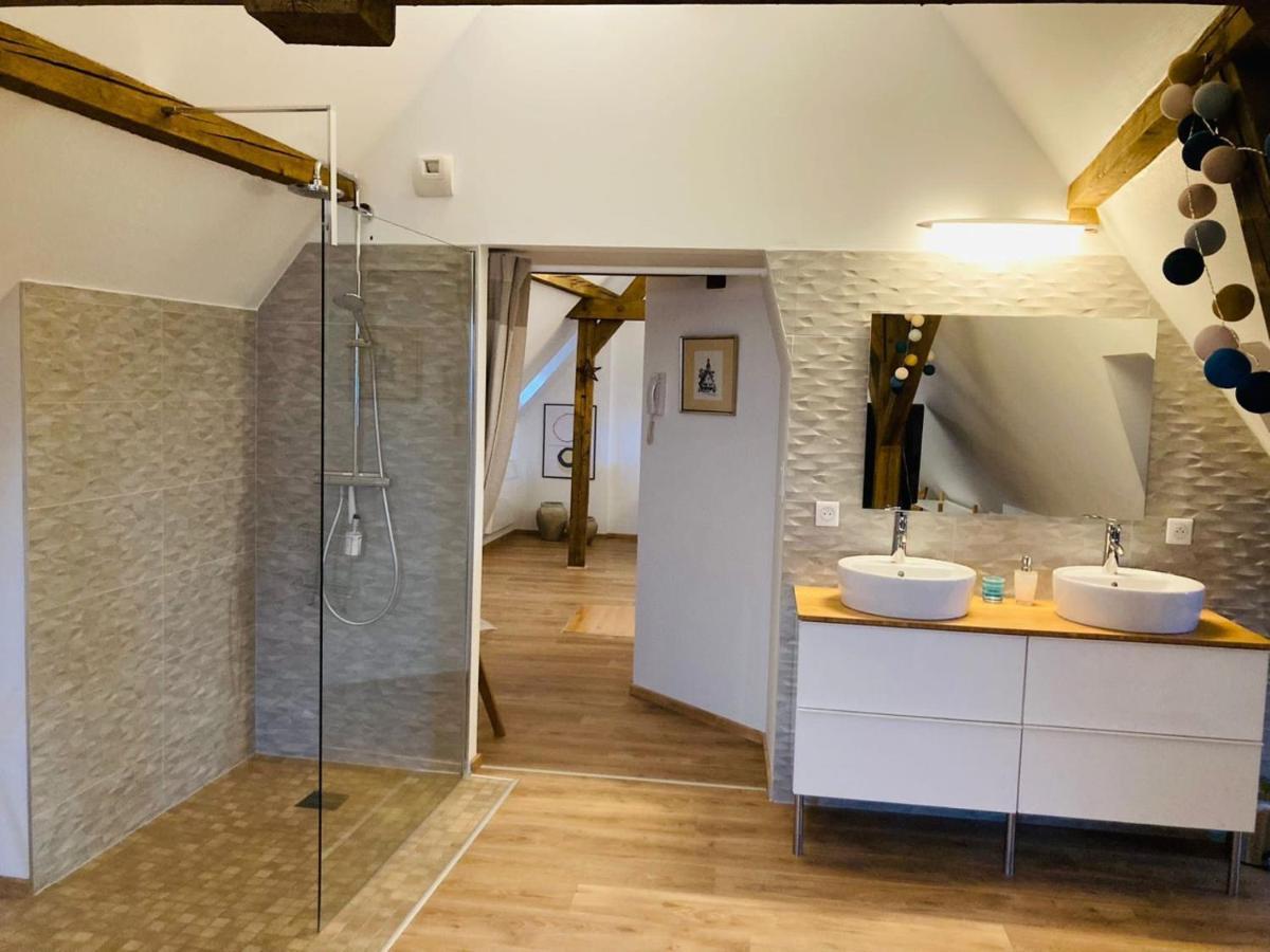 شقة Le Loft كولمار المظهر الخارجي الصورة