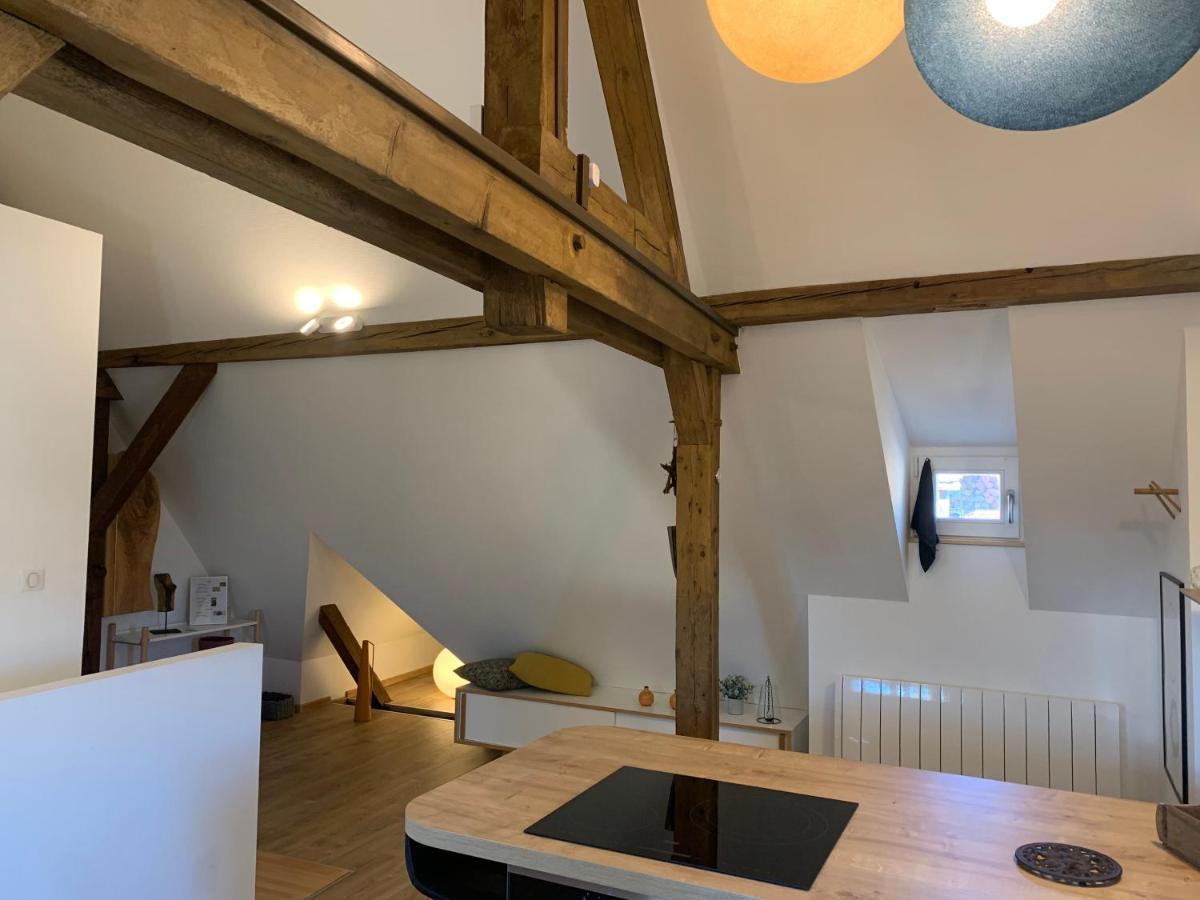 شقة Le Loft كولمار المظهر الخارجي الصورة