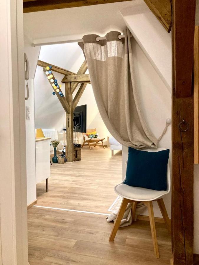 شقة Le Loft كولمار المظهر الخارجي الصورة