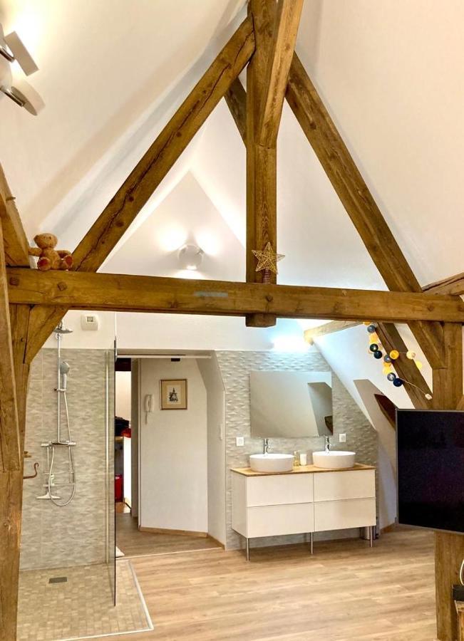 شقة Le Loft كولمار المظهر الخارجي الصورة