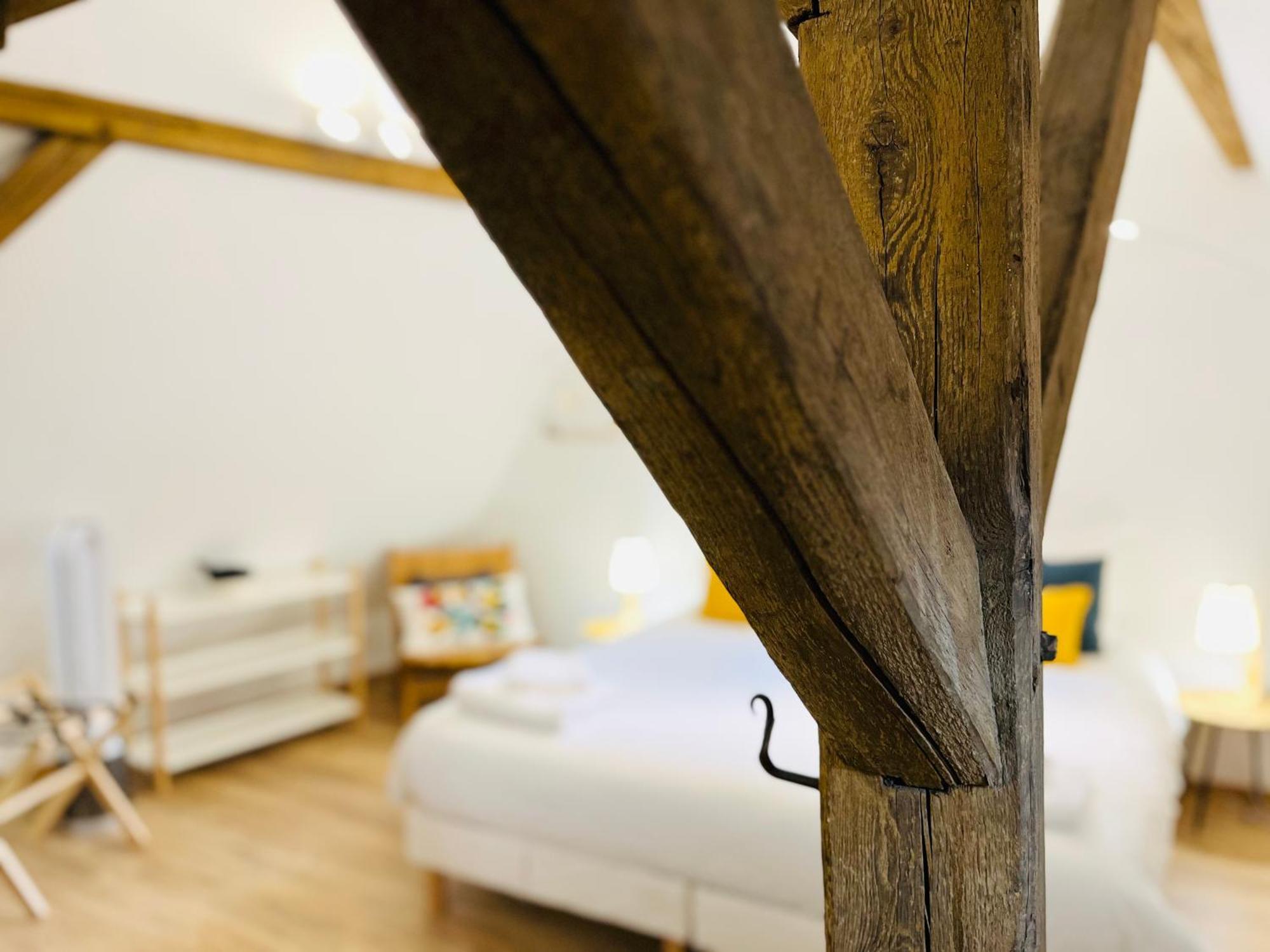 شقة Le Loft كولمار المظهر الخارجي الصورة