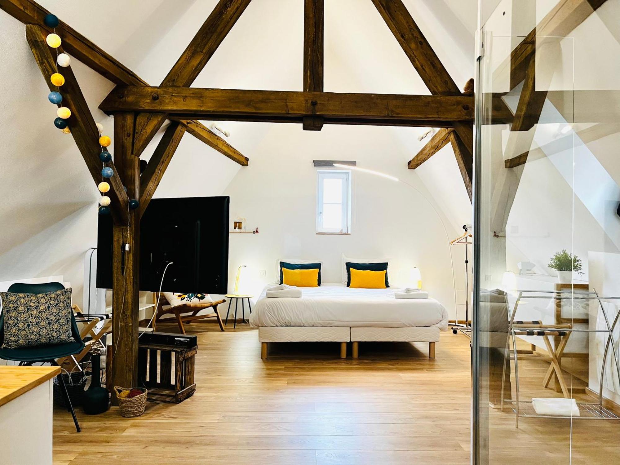 شقة Le Loft كولمار المظهر الخارجي الصورة