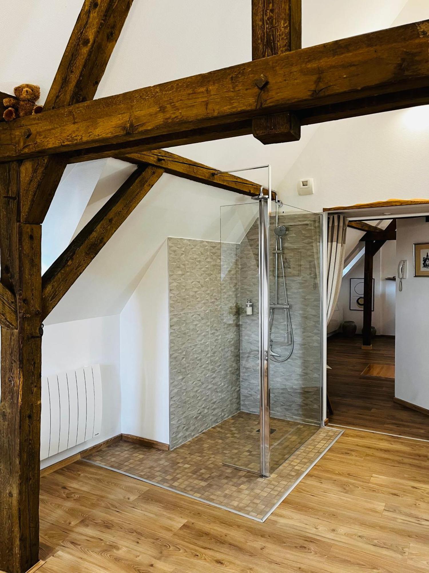 شقة Le Loft كولمار المظهر الخارجي الصورة